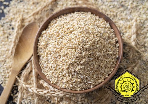 بلغور گندم سایز درشت